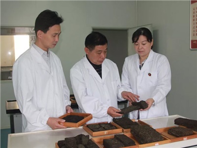 傳承茯茶非遺技藝、開拓創(chuàng)新引領(lǐng)行業(yè)發(fā)展