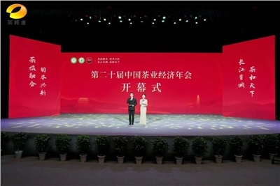 【聚焦第二十屆中國茶業(yè)經(jīng)濟年會】益陽茶廠榮獲“民族團結(jié)互助企業(yè)”、“2024年度茶業(yè)重點企業(yè)”榮譽稱號